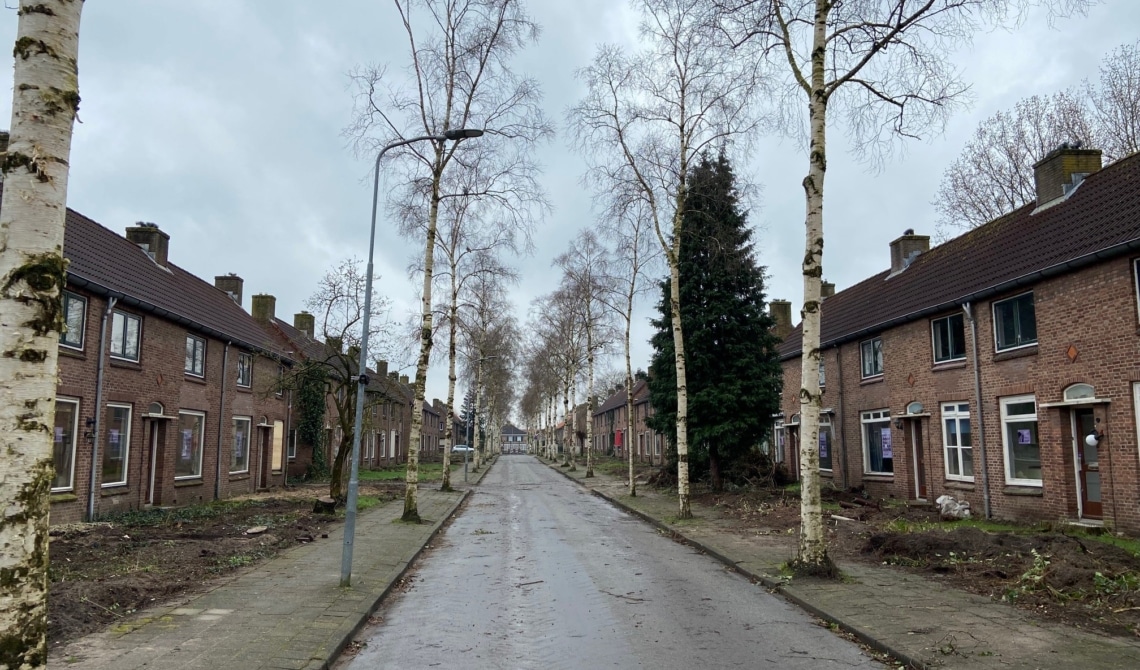wethoudersbuurt
